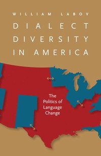 bokomslag Dialect Diversity in America