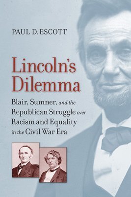 bokomslag Lincoln's Dilemma