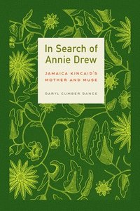 bokomslag In Search of Annie Drew