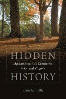 Lynn Rainville - Hidden History, Häftad