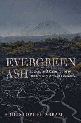 bokomslag Evergreen Ash