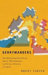 bokomslag Gerrymanders