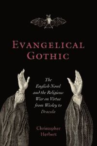 bokomslag Evangelical Gothic