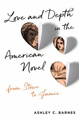 bokomslag Love and Depth in the American Novel