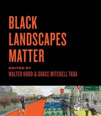 bokomslag Black Landscapes Matter