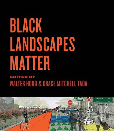 bokomslag Black Landscapes Matter