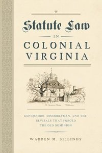 bokomslag Statute Law in Colonial Virginia