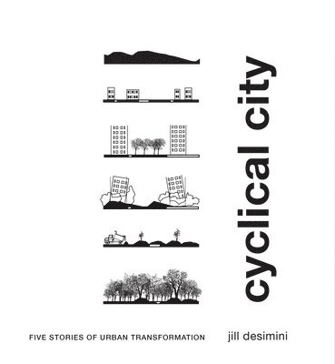 Jill Desimini - Cyclical City, Inbunden