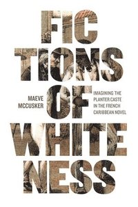 bokomslag Fictions of Whiteness