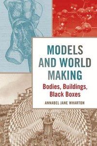 bokomslag Models and World Making