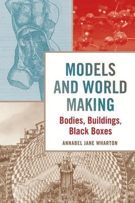 Models and World Making 1