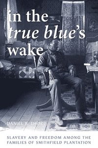 bokomslag In the True Blues Wake