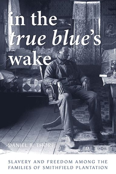 bokomslag In the True Blue's Wake