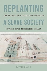 bokomslag Replanting a Slave Society