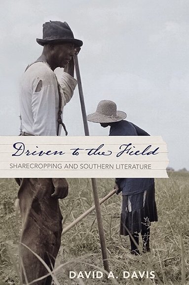 David A. Davis - Driven to the Field, Häftad