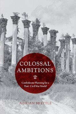 Adrian Brettle - Colossal Ambitions, Häftad