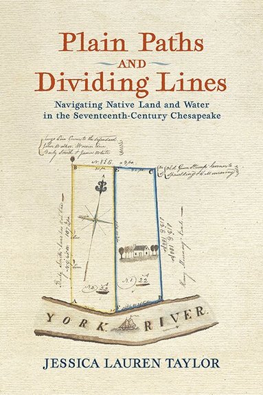 Jessica Lauren Taylor - Plain Paths and Dividing Lines, Häftad