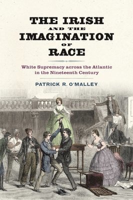 bokomslag The Irish and the Imagination of Race