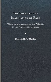 bokomslag The Irish and the Imagination of Race