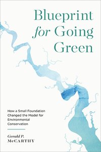 bokomslag Blueprint for Going Green