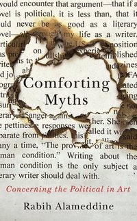 bokomslag Comforting Myths