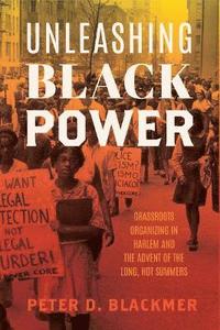 bokomslag Unleashing Black Power