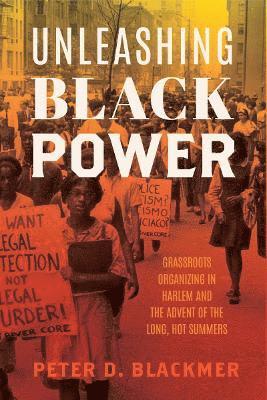 Unleashing Black Power 1