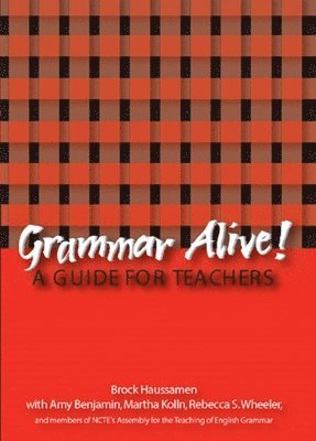 bokomslag Grammar Alive!