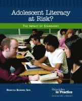 bokomslag Adolescent Literacy at Risk?