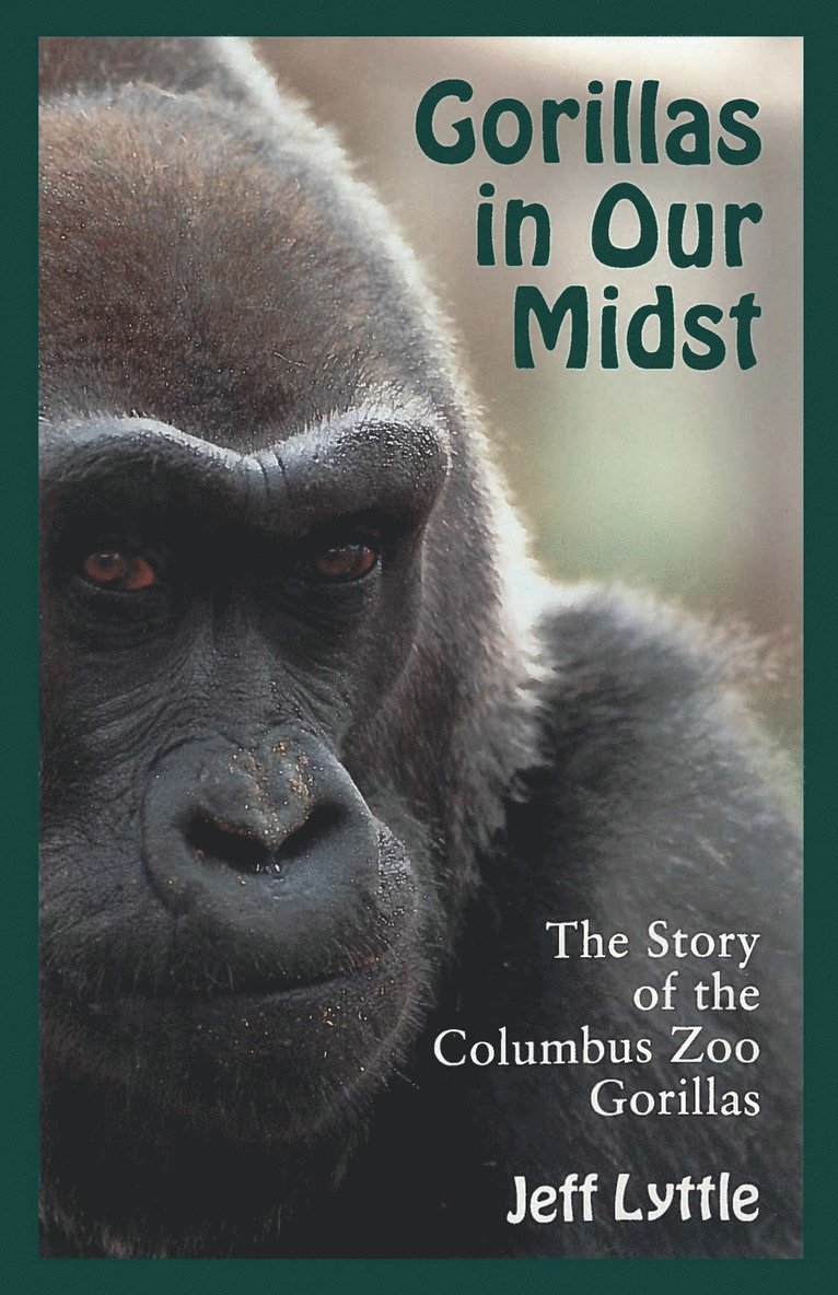 Gorillas in Our Midst 1