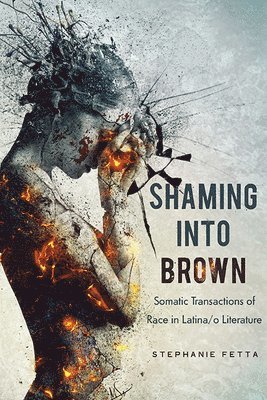 Stephanie Fetta - Shaming into Brown, Inbunden