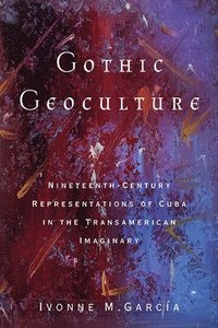 bokomslag Gothic Geoculture