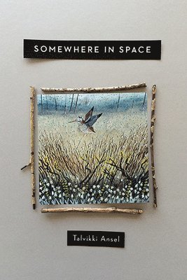 bokomslag Somewhere in Space
