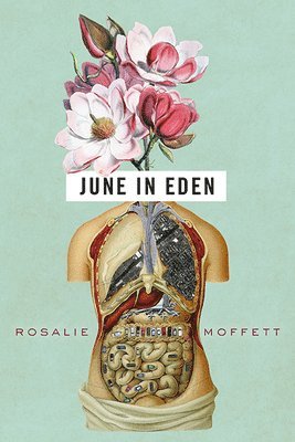 bokomslag June in Eden
