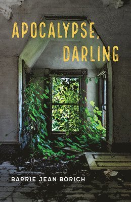Barrie Jean Borich - Apocalypse, Darling, Häftad