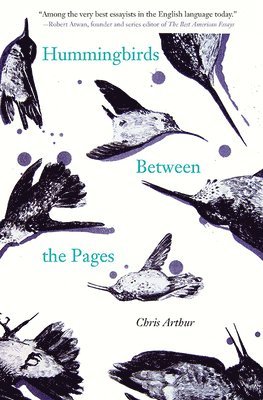 Chris Arthur - Hummingbirds Between the Pages, Häftad