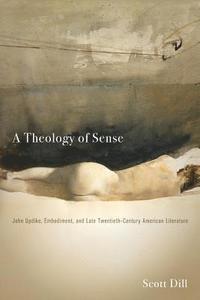 bokomslag A Theology of Sense