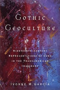 bokomslag Gothic Geoculture