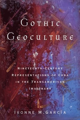 bokomslag Gothic Geoculture