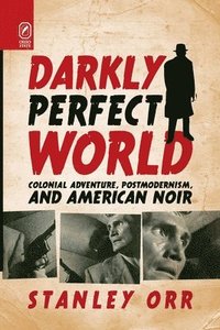 bokomslag Darkly Perfect World