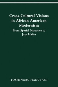 bokomslag Cross-Cultural Visions in African American Modernism