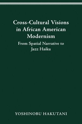 bokomslag Cross-Cultural Visions in African American Modernism