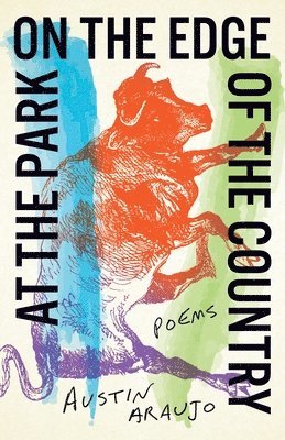 At the Park on the Edge of the Country: Poems 1