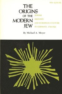 bokomslag The Origins of the Modern Jew