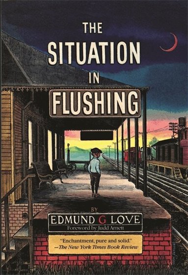 Edmund G. Love - Situation in Flushing, Häftad