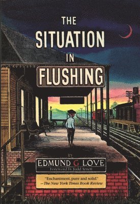 bokomslag Situation in Flushing