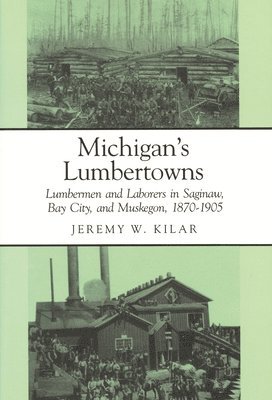 bokomslag Michigan's Lumbertowns