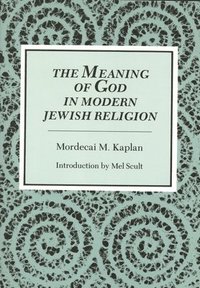 bokomslag The Meaning of God in Modern Jewish Religion