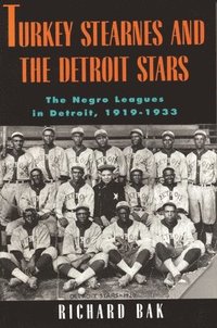 bokomslag Turkey Stearnes and the Detroit Stars
