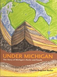 bokomslag Under Michigan